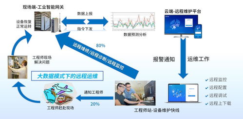 凍干閃釋技術(shù)在食品加工領(lǐng)域中的應(yīng)用與信息技術(shù)咨詢(xún)服務(wù)的融合創(chuàng)新